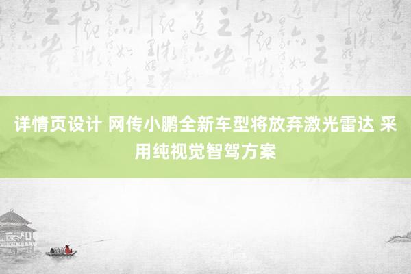 详情页设计 网传小鹏全新车型将放弃激光雷达 采用纯视觉智驾方案